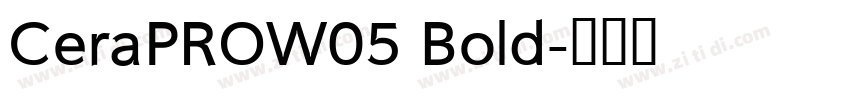 CeraPROW05 Bold字体转换